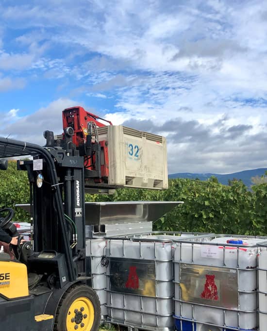 Sustainability_Crush Dynamics Fruit Bin and Hopper on the Vineyard