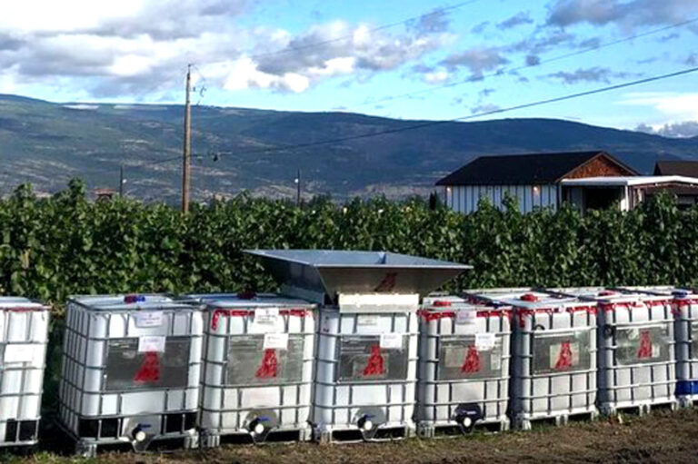 Crush Dynamics IBC Totes on Vineyard