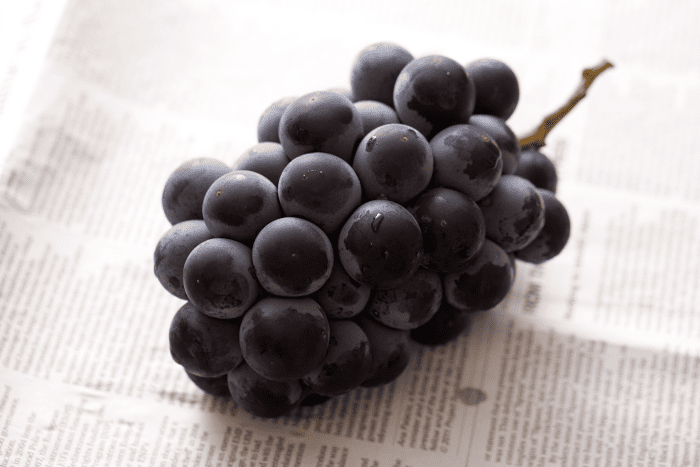 Grapes On Newspaper - News - Press releases - Industry Recognition - Announcements